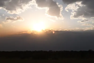 DSC_3698 (Large).JPG